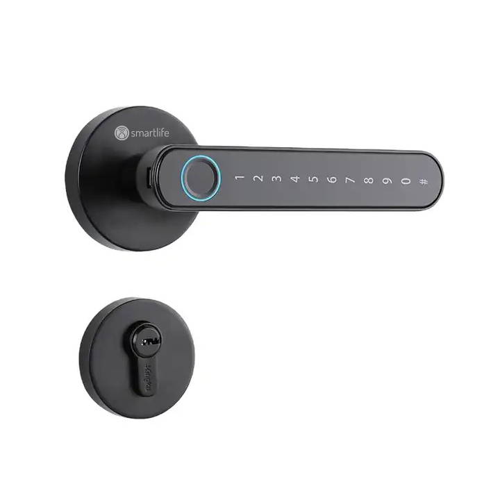 SmartLife L1 Plus Smart Door Lock