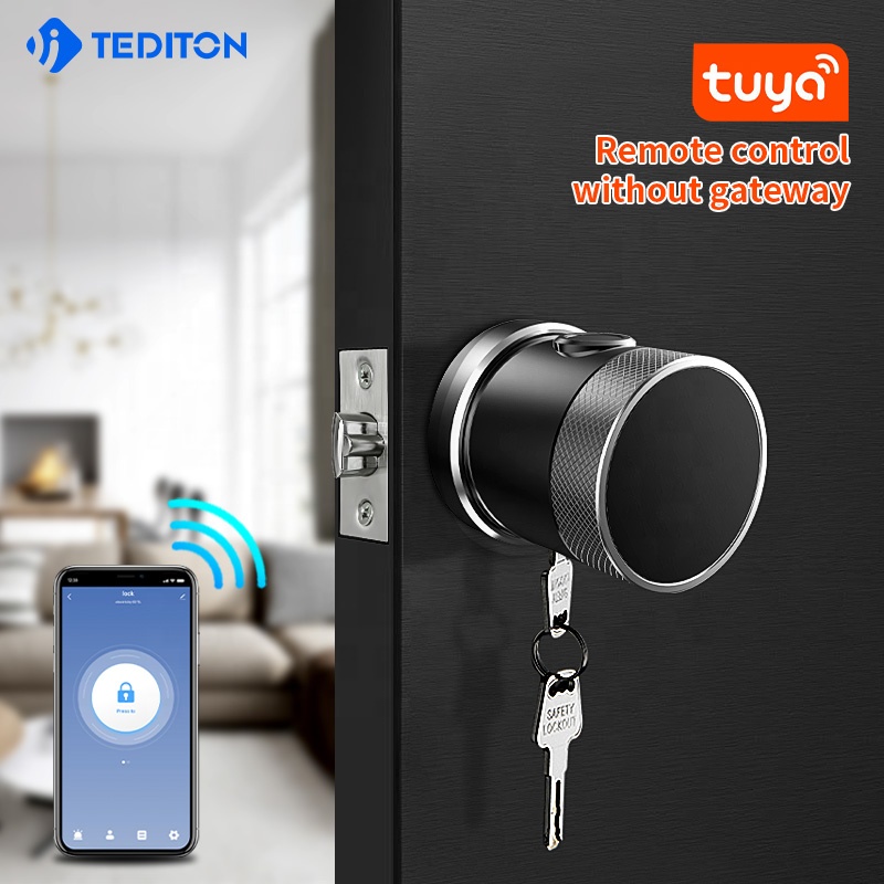 Tuya Round Knob Smart Door Lock featured